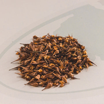 Closeup image of Mossy Oak waterfowl grassy moist soil blend.
